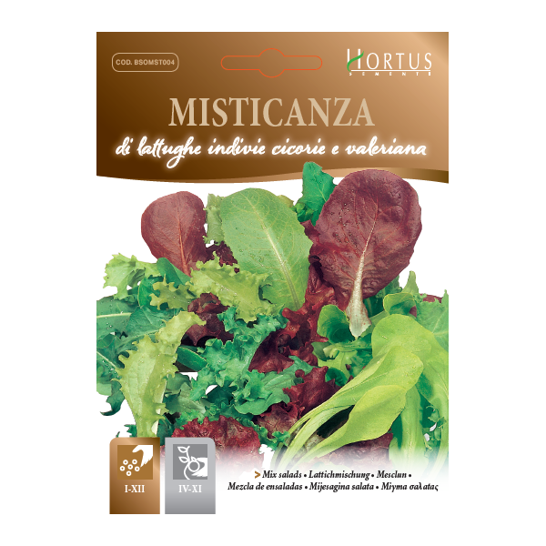 Lettuce (Mixed Salads) - Hortus