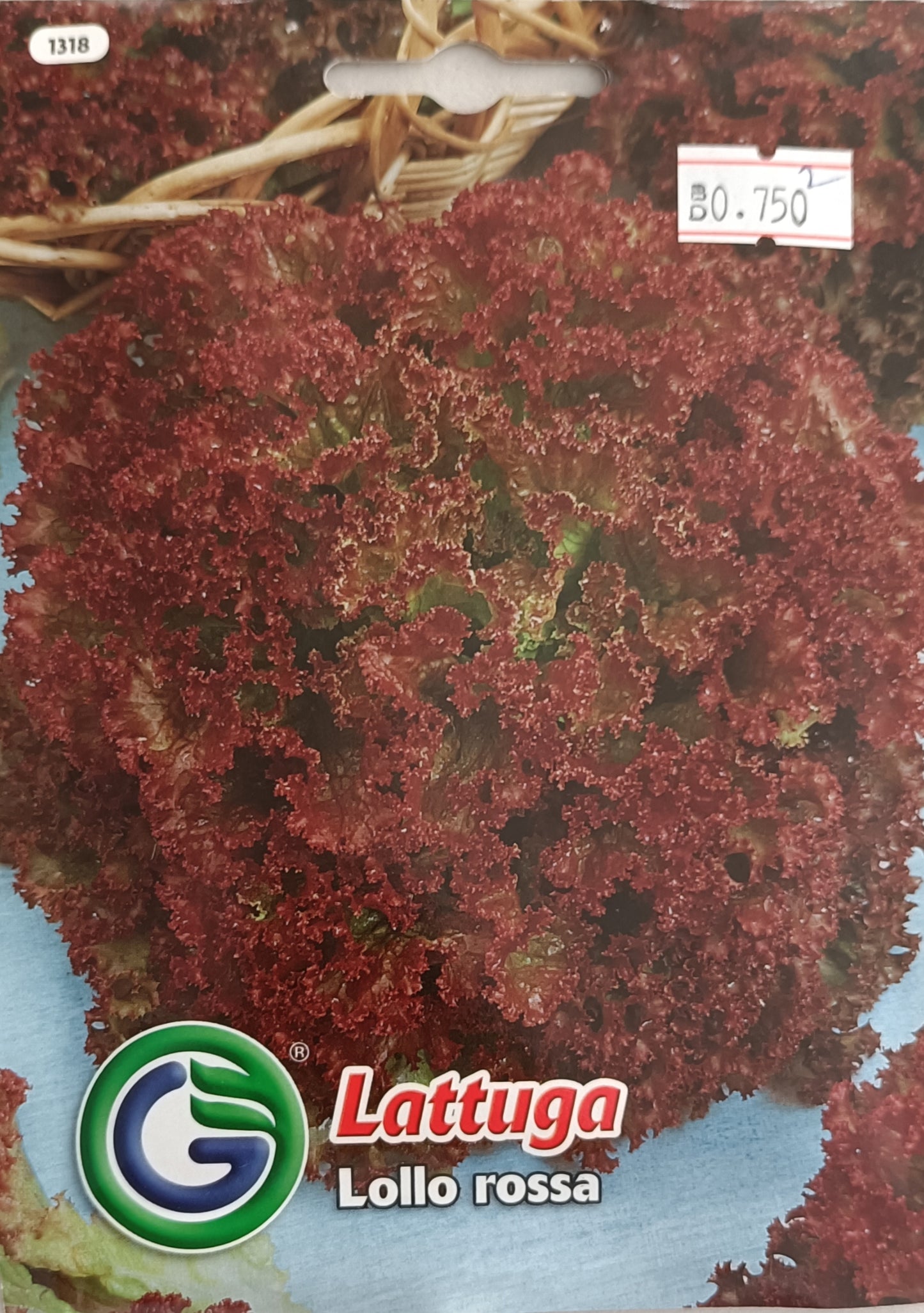 Lollo Rossa Lettuce