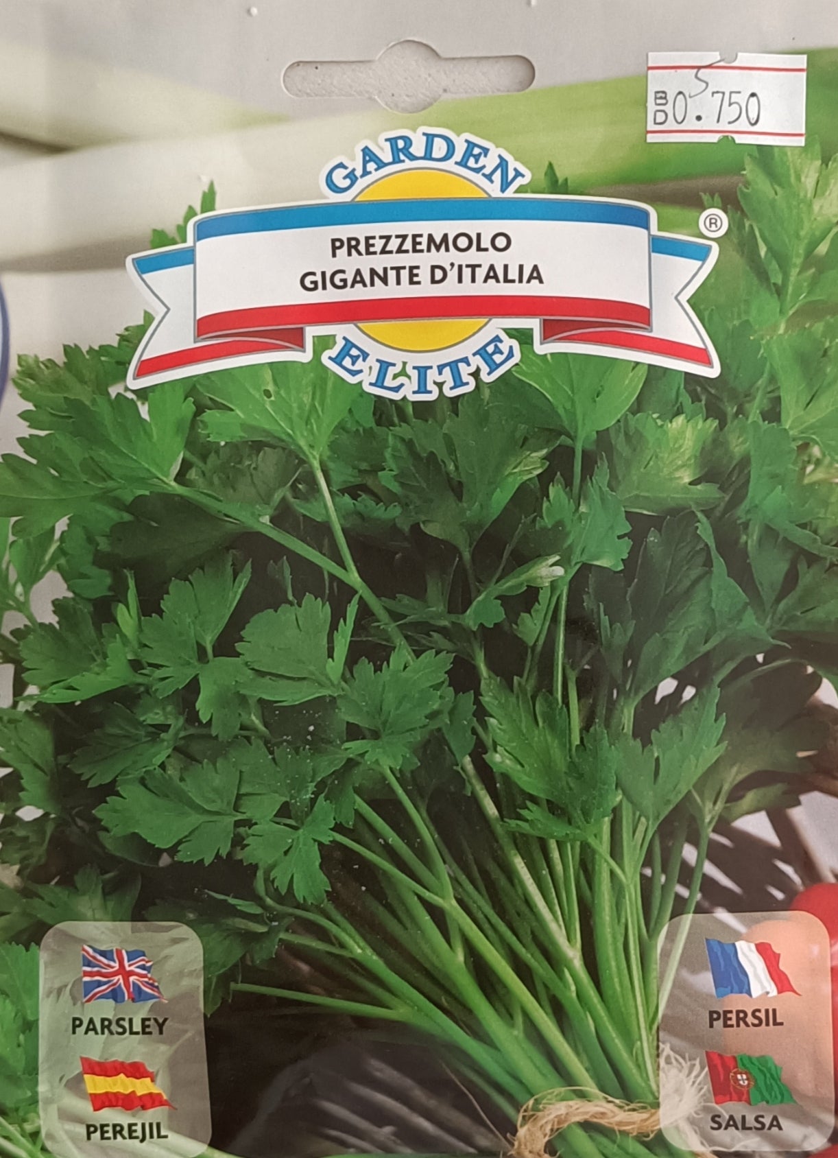 Giant Parsley - Galassi Sementi