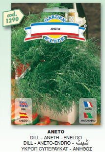 Dill (Aneto) - Galassi Sementi Seeds