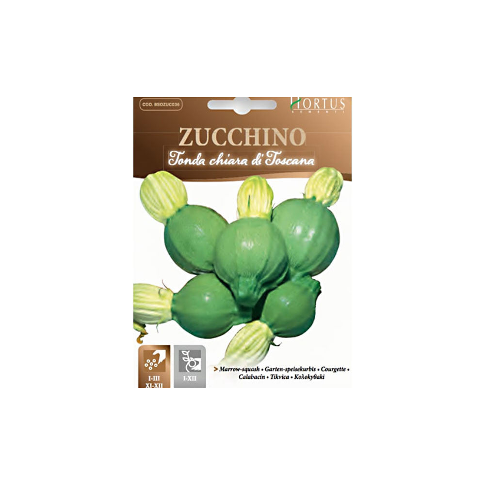Zucchino (Tonda Chiara) - Hortus
