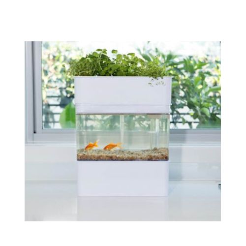 Home Aquaponics System
