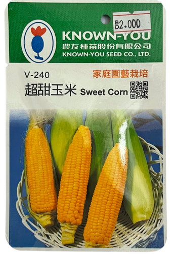 SWEET CORN