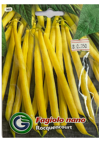 Kidney Bean (Rocquencourt) - Galassi Sementi