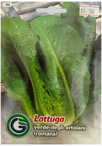 ROMAINE LETTUCE