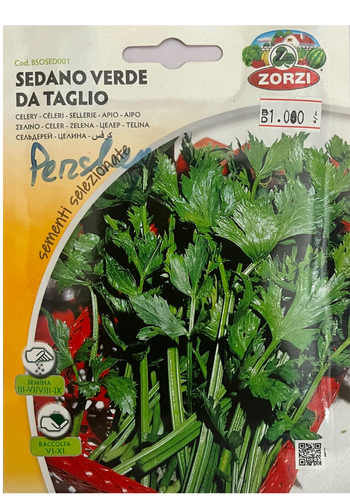 GREEN CELERY BY CUTTING