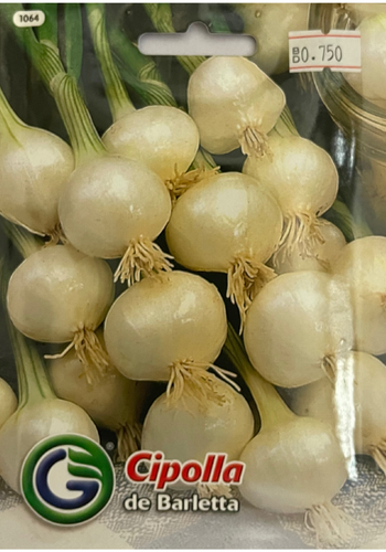ONION DE BARLETTA