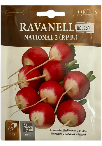 Radish (Ravanello) - Hortus