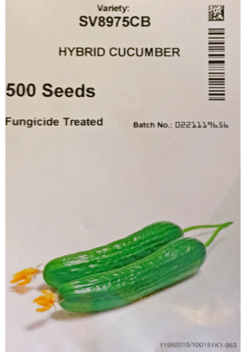 SV8975CB HYBRID CUCUMBER
