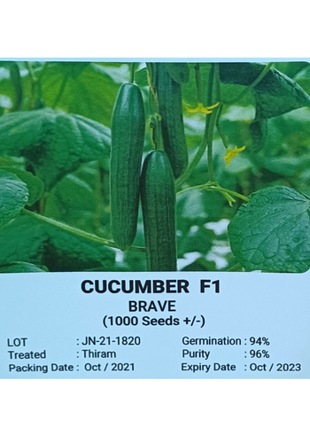 BRAVE CUCUMBER F1
