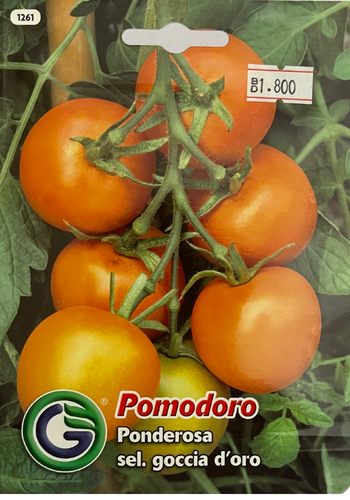 Ponderosa Tomatoes - Galassi Sementi