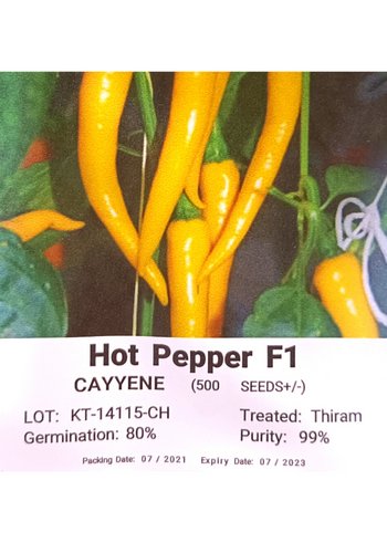 CAYYENE HOT PEPPER F1
