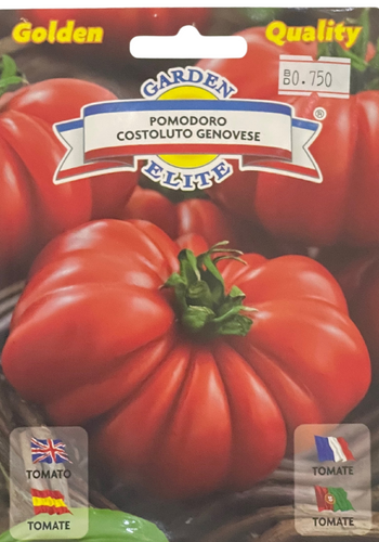 TOMATO COSTOLUTO GENOVESE