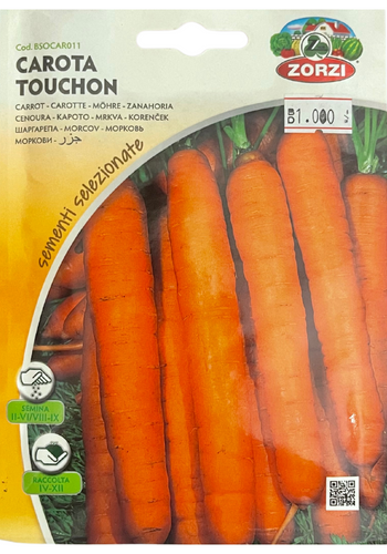 CARROT TOUCHON