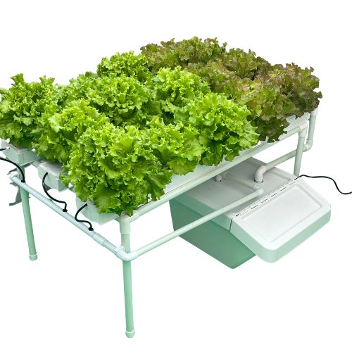 Green Lane Hydroponics System