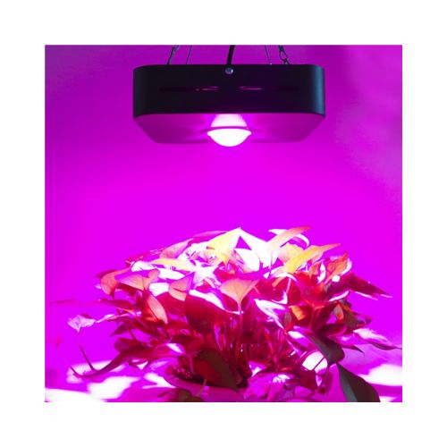 COB Grow Light 50w