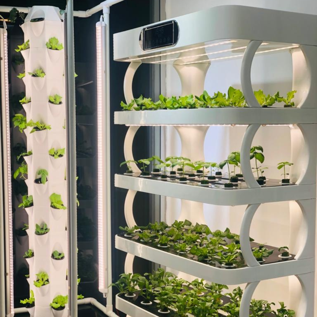 Hydroponics System