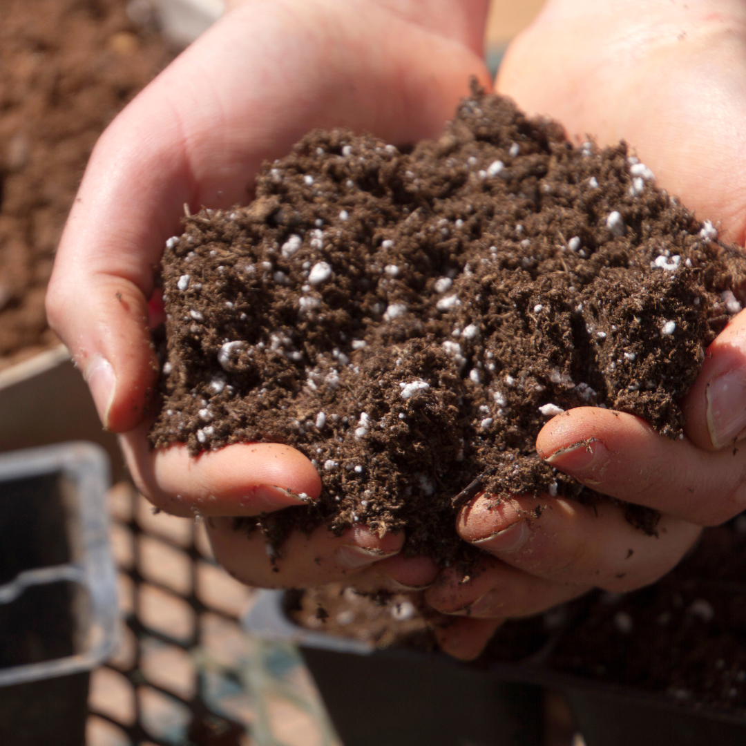 Potting Soil & Fertilizers