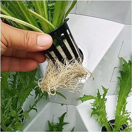 64 Plant Hydroponic Vertical System