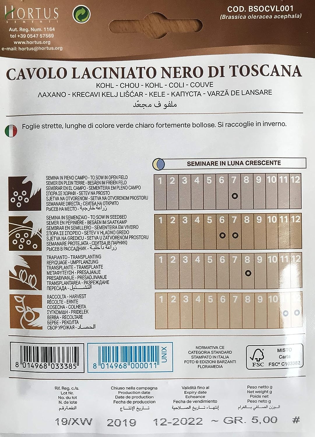 Italian Kale - Toscana/Black Tuscan