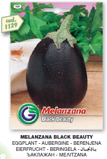 Eggplant (Black Beauty - Melanzana) - Galassi Sementi
