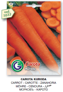 Carrot (Carota-Kuroda) - Galassi Sementi