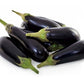 Willy Eggplant F1 - Known You Seeds (20 seeds)
