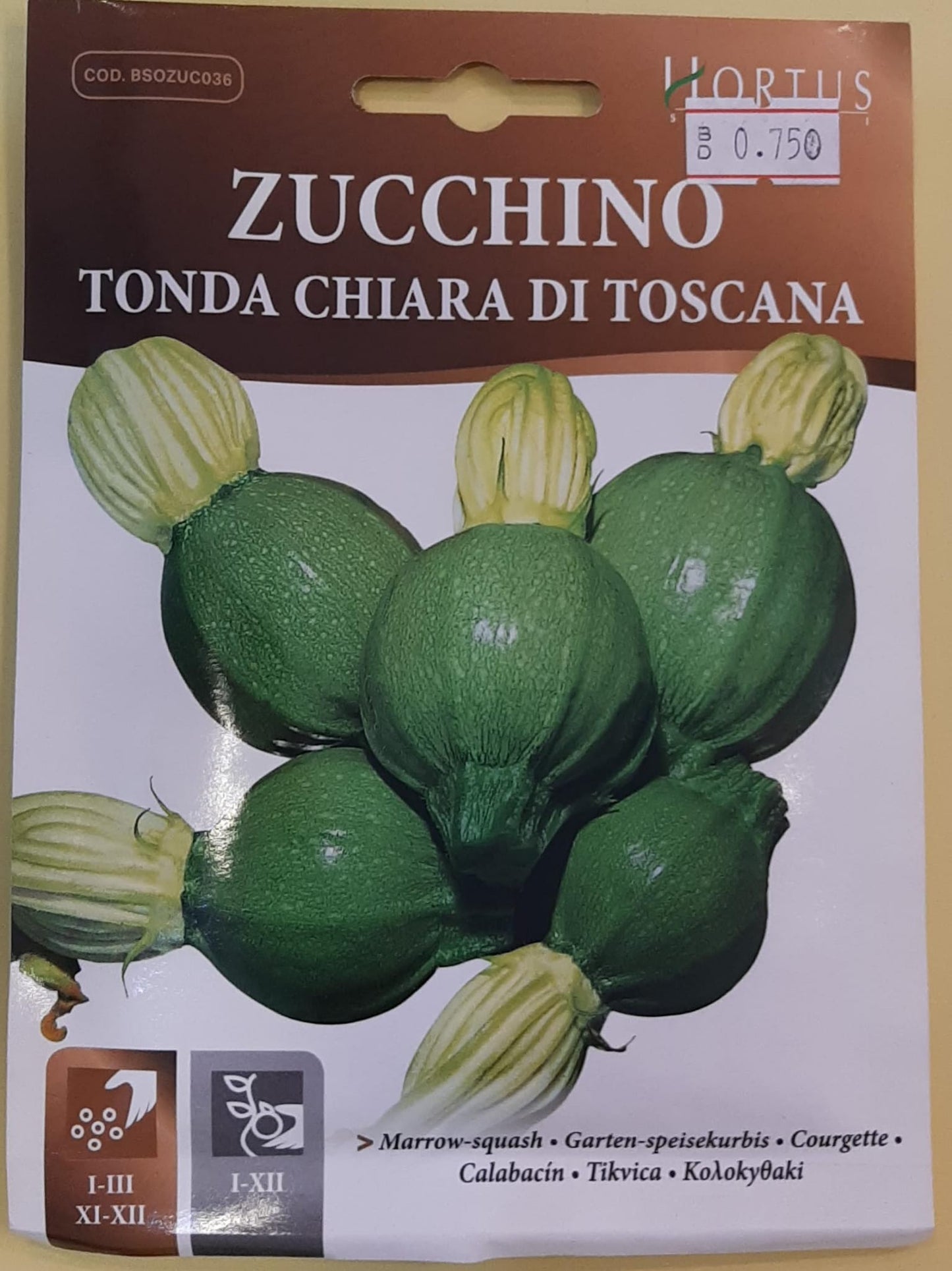 Zucchino (Tonda Chiara) - Hortus
