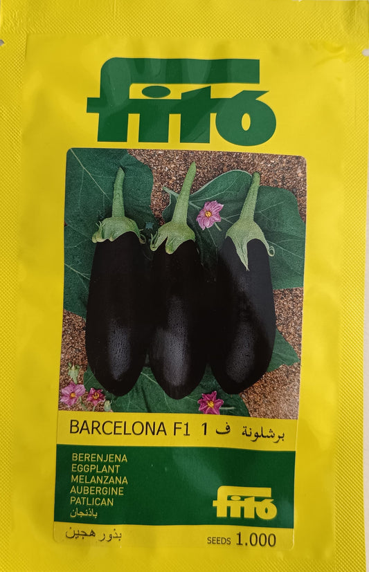 Eggplant Barcelona F1 - Fito (10 seeds)