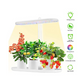 Grow Light Tray