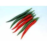 Hot Pepper Hybrid F1 (10 seeds)
