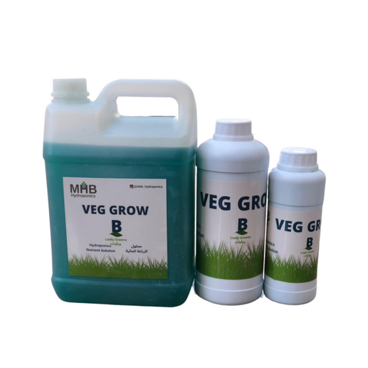 VEG B1 محلول