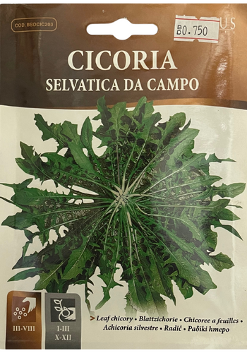 Field Wild Leaf Chiroy - Hortus