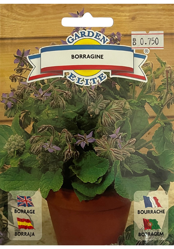 BORAGE - Galassi Sementi