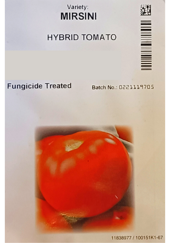 Mirsini Hybrid Tomato