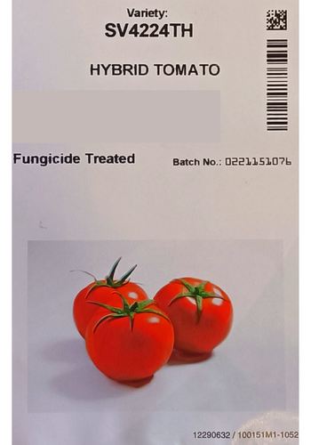 Hybrid Tomato (SV4224TH) F1 - Seminis Seeds (10 seeds)