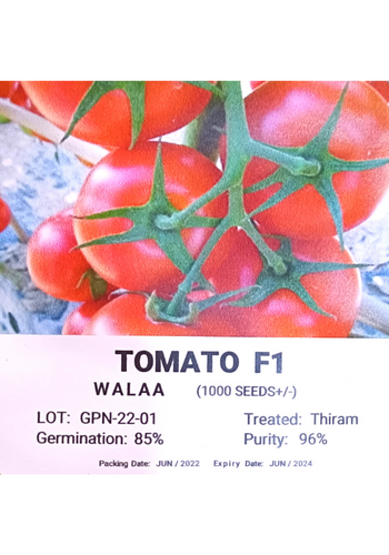 WALAA Tomato F1