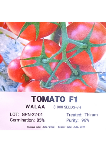 Walaa Tomato F1 - Erma International (10 seeds)