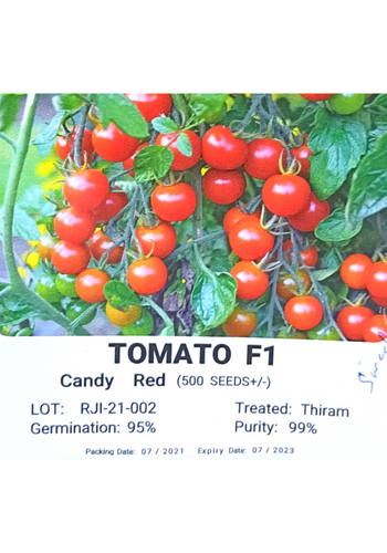 Candy Red Cherry Tomato F1