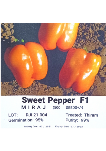 Miraj Sweet Pepper F1
