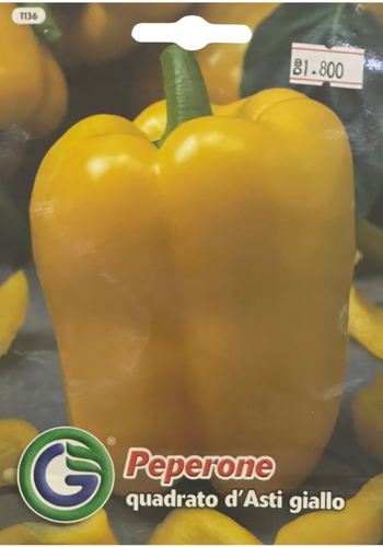 Yellow Square Pepper (Peperone)- Galassi Sementi