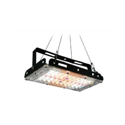 50W Flood Light with Adjustable Stand