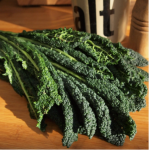 Italian Kale - Toscana/Black Tuscan