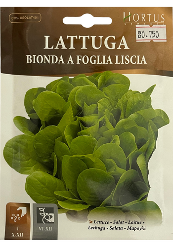 Lettuce Bionda - Hortus